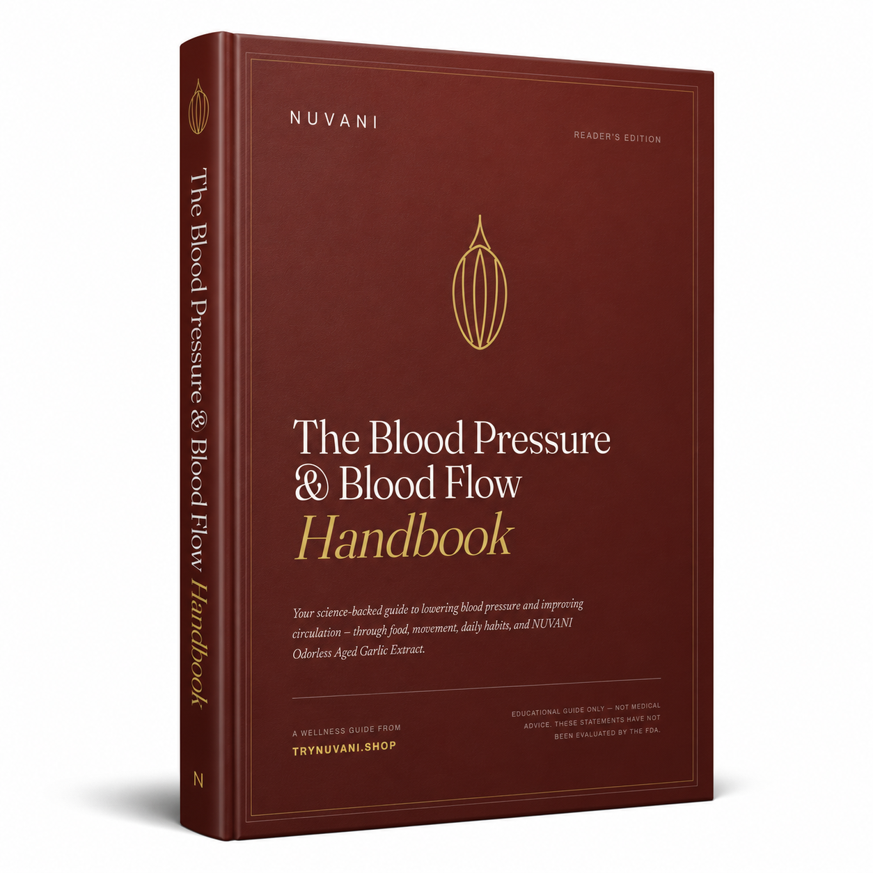 Blood Pressure & Flow E-book