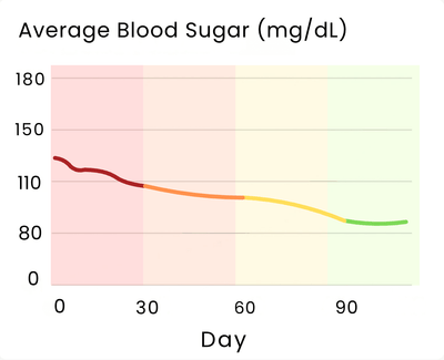 Blood Sugar Reset